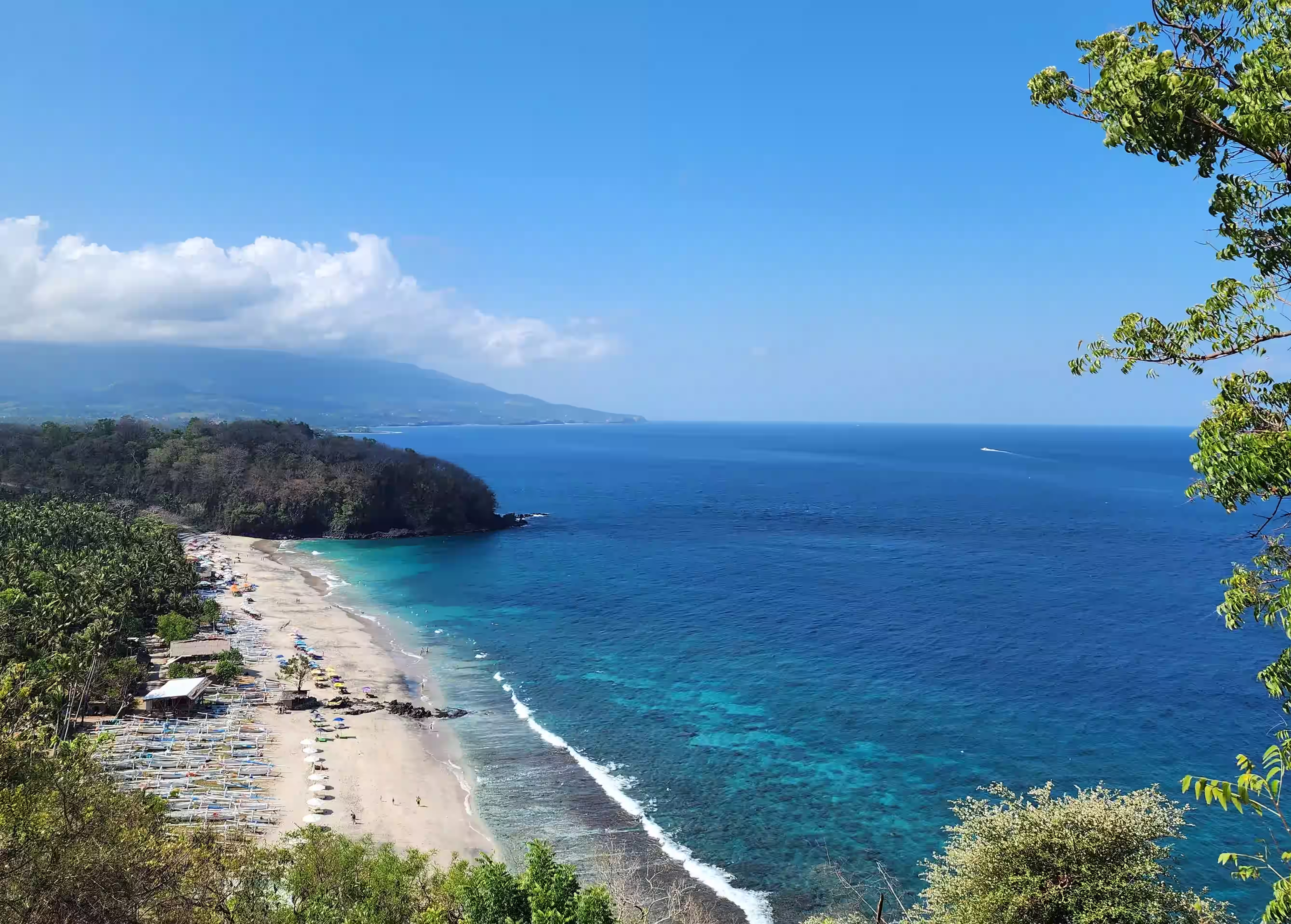 Best Time to Dive in Bali: What You Need to Know
