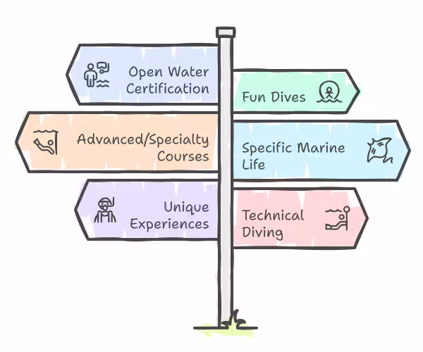 A drawing of a road sign showing the optional paths when choosing the right dive center