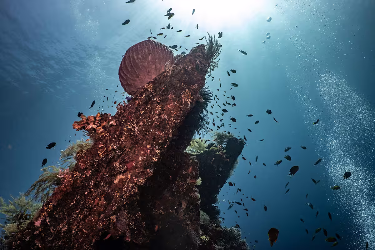 Diving in Bali: Why September Brings the Best Conditions