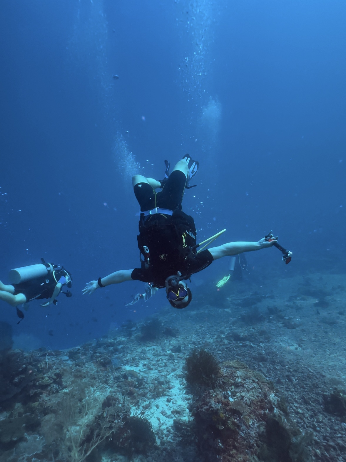 Bali's Secret Underwater Paradise: Why Diving Here Will Surprise You